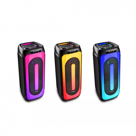 Eden Party Speaker ED-1015 cu 2 Microfoane Wireless 100W, Negru [2]