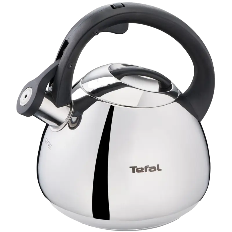 Casa și grădina - Fierbător Tefal K2481574, Oțel inoxidabil, 2.7L