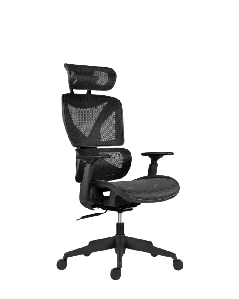 Mobilier - Fotoliu de birou ergonomic ESTER – Confort și susținere optimă