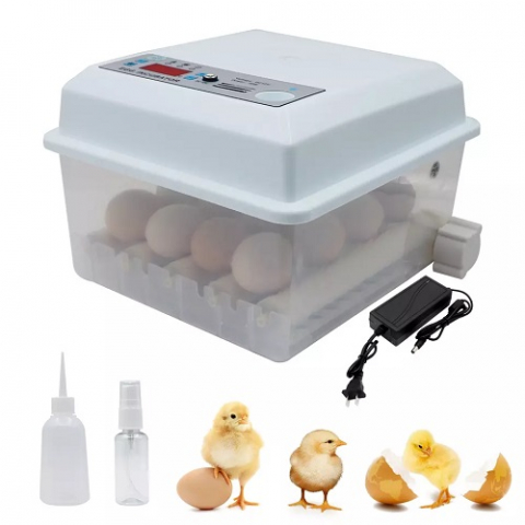Incubator automat pentru ouă Demetra DM-1000 - profesional, rezultate rapide [2]