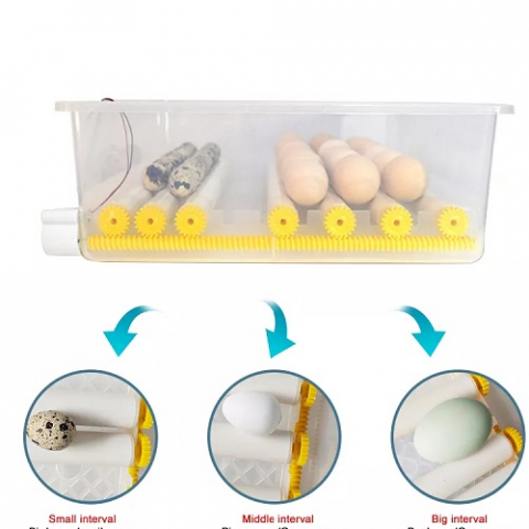 Incubator automat pentru ouă Demetra DM-16 - perfect pentru gospodării [4]