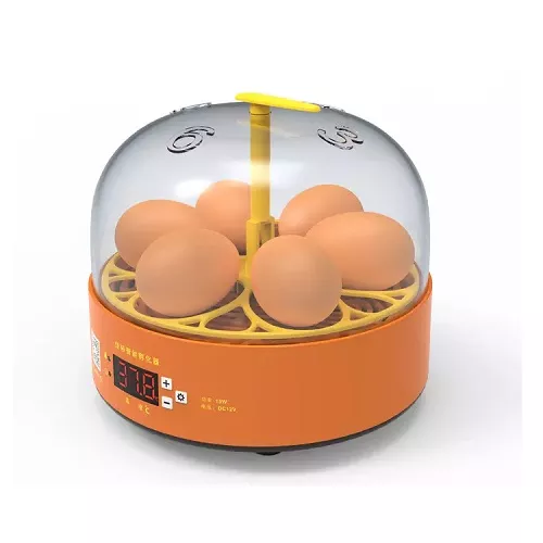Produse pentru animale - Incubator automat pentru ouă Demetra DM-5 - model economic, rezultate excelente