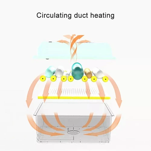 Incubator ouă Demetra DM-176 (176 ouă găină) – Automat complet, alimentare dublă 220V/12V + ovoscop inclus [12]