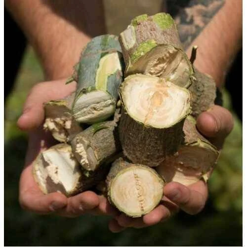 Mecanism tocător crengi Demetra DM80BD – Putere profesională pentru eficiență maximă [1]