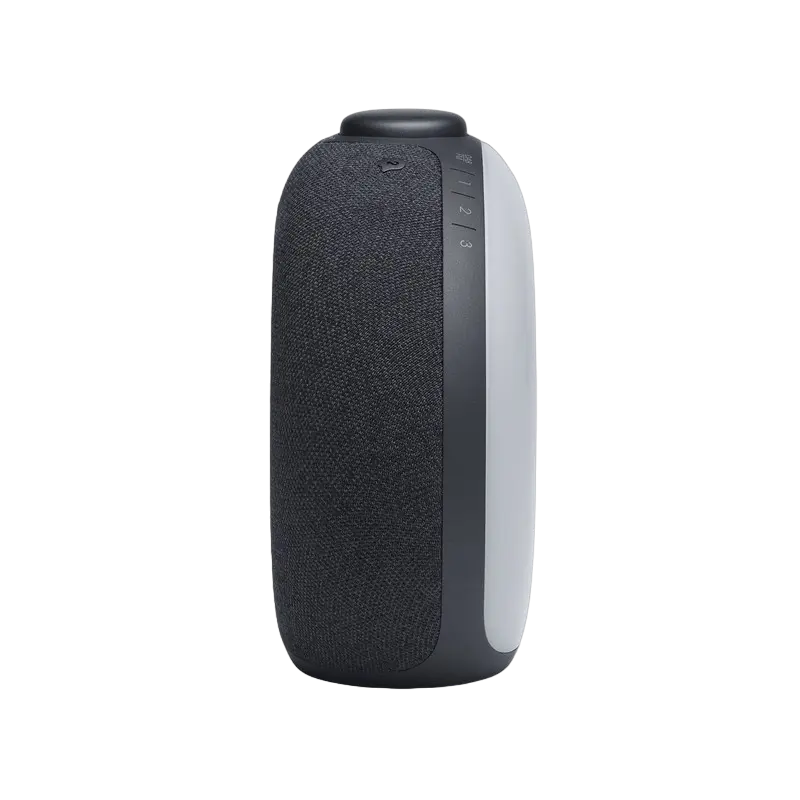 Портативное радио JBL Horizon 2, Черный [4]