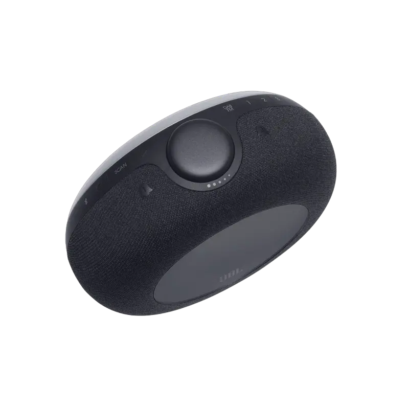 Портативное радио JBL Horizon 2, Черный [1]
