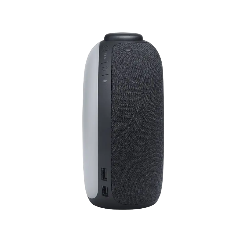 Портативное радио JBL Horizon 2, Черный [5]