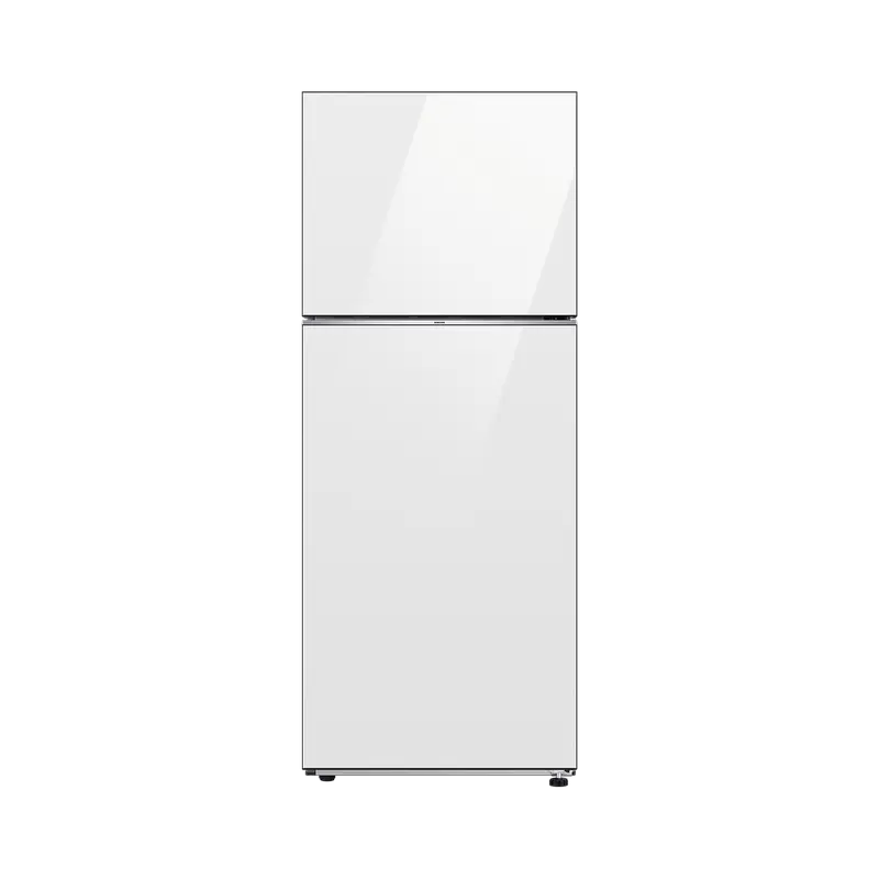 Frigidere - Refr/DD Samsung RT42CB662012UA
