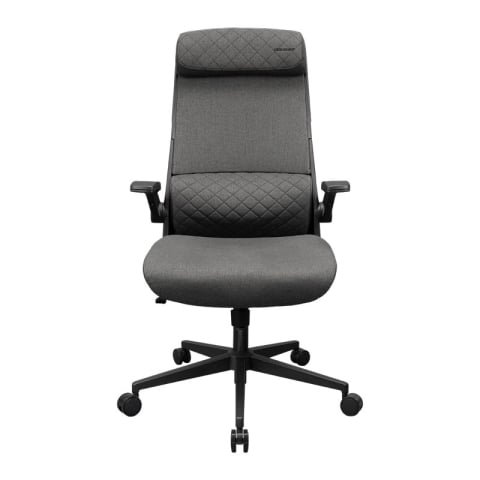Mobilier - Scaun de birou Cougar Stryder, textil, Gri (gazlift clasa 4, până la 120 kg)