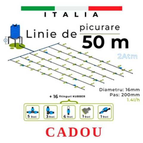 Seră Eco 4×3×2 m – Spațiu maxim la preț accesibil [5]