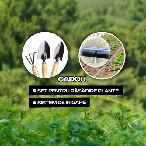 Seră pentru grădină Demetra 10x3x2m - spațiu generos, protecție UV [1]