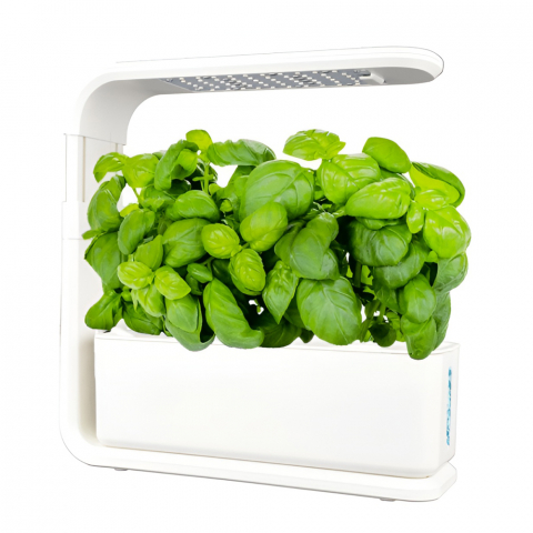Ghivece de flori - Sistem hidroponic Green Grow cu 3 compartimente de creștere, Alb