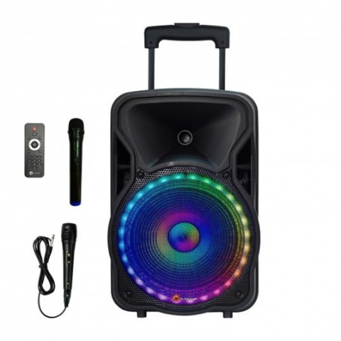 Electronice - The Flash 1205