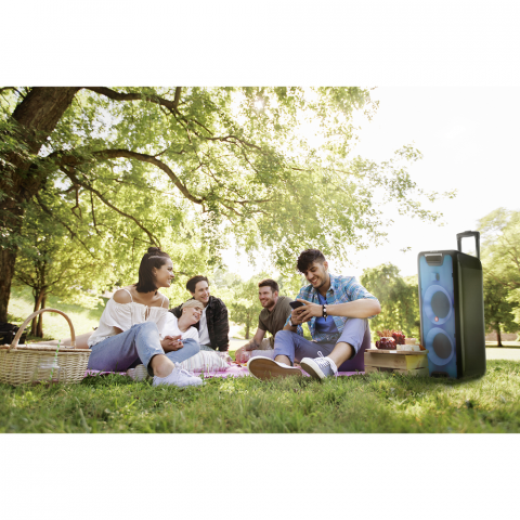 WILD RAVE 2 Portable BT Speaker-TWS-300W 12V/3,26 BAT-USB-AUX IN [2]