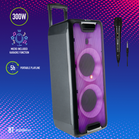 WILD RAVE 2 Portable BT Speaker-TWS-300W 12V/3,26 BAT-USB-AUX IN [3]