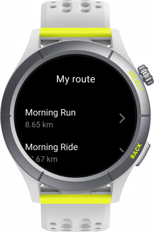 Xiaomi Amazfit Cheetah R Speedster, Grey [6]