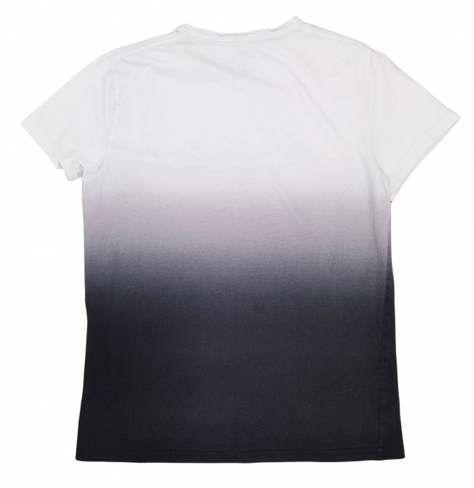 Tricou gri Hollister Femei-S [2]