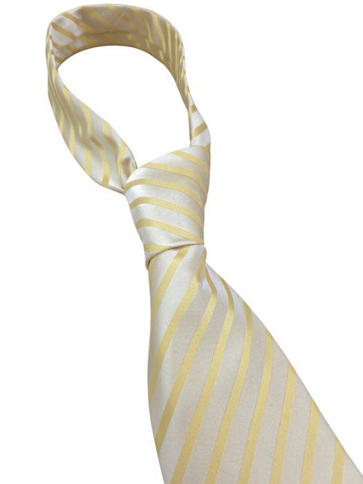 Cravata matase Retro [3]