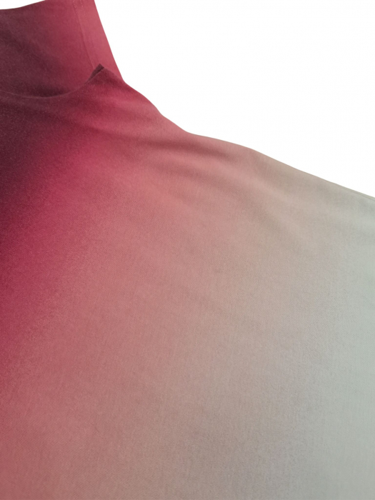 Tricou cu model Hollister Femei-XS [4]