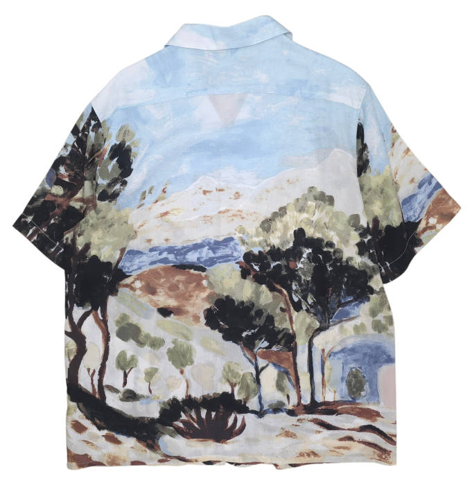 Camasa cu imprimeu H&M Barbati-L [2]