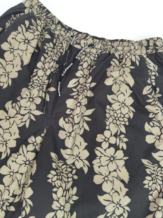 Pantaloni maro Capricio Barbati-L [2]