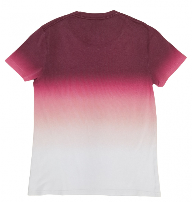 Tricou cu model Hollister Femei-XS [2]