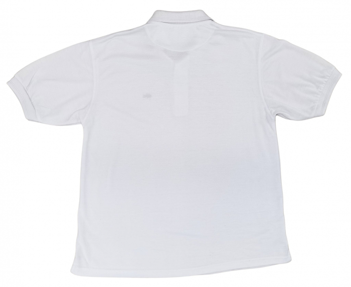 Tricou bleu bumbac Barbati-XL [2]