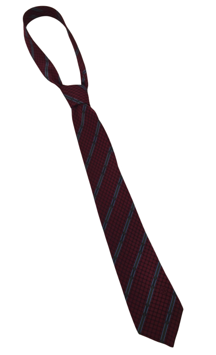 Cravata matase CELINE [1]