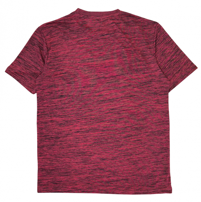 Tricou fitness Atlas Barbati-L [2]