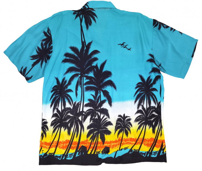Camasa Retro Pierre Barbati-XL [2]