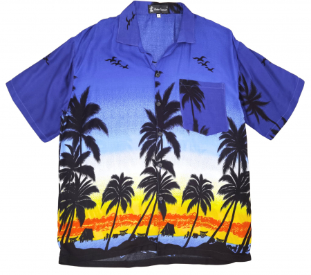 Camasi cu maneca scurta Barbati - Camasa Retro Pierre Barbati-L