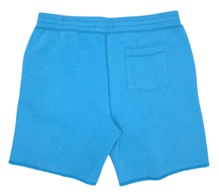 Pantaloni albastri Hollister Barbati-L [1]
