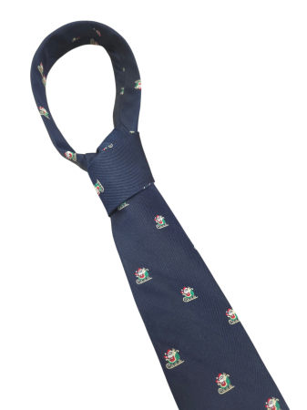 Cravata matase Frame [2]