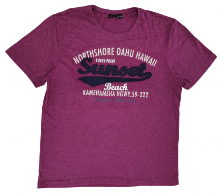 Tricouri Barbati - Tricou visiniu bpc Barbati-XL
