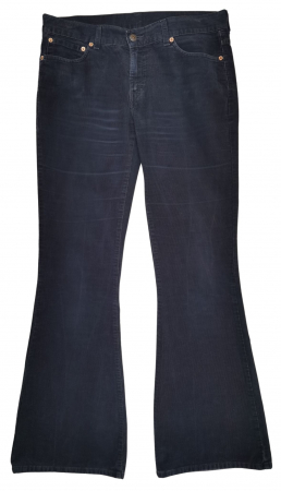 Pantaloni Femei - Pantaloni velur Levi's Femei-L