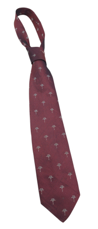 Femei - Cravata matase JOOP