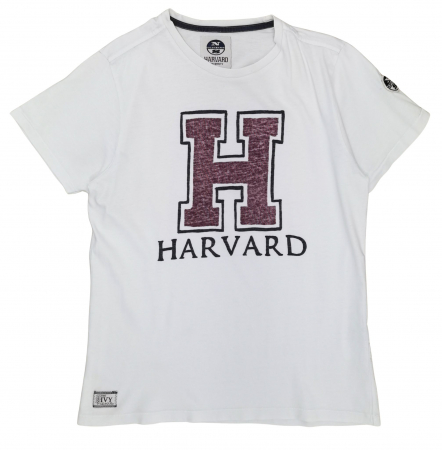 Tricouri Barbati - Tricou Harvard Barbati-L