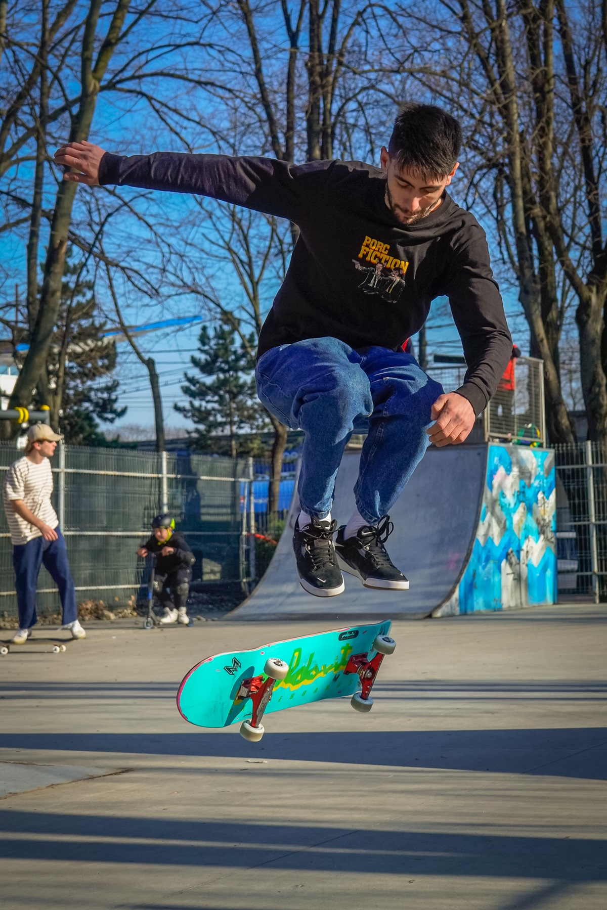 VARIAL FLIP - Baroncea Marius