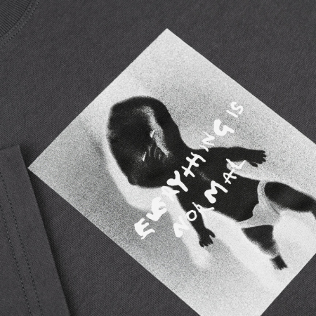 CLOTHING - POLAR - TEE | EVERYTHING IS NORMAL - GRAPHITE