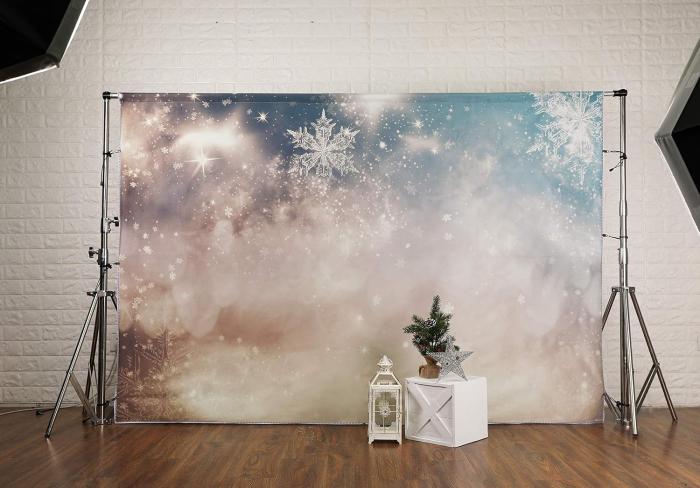 Fundal textil pentru poze, Tinut inghetat din material 2,2x1,5m [6]