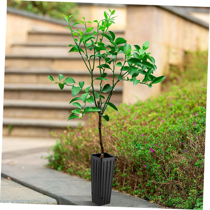 Ghivece adanci, negre pentru flori inalte sau pomisori, 30x10x10 cm, set 50 bucati [5]