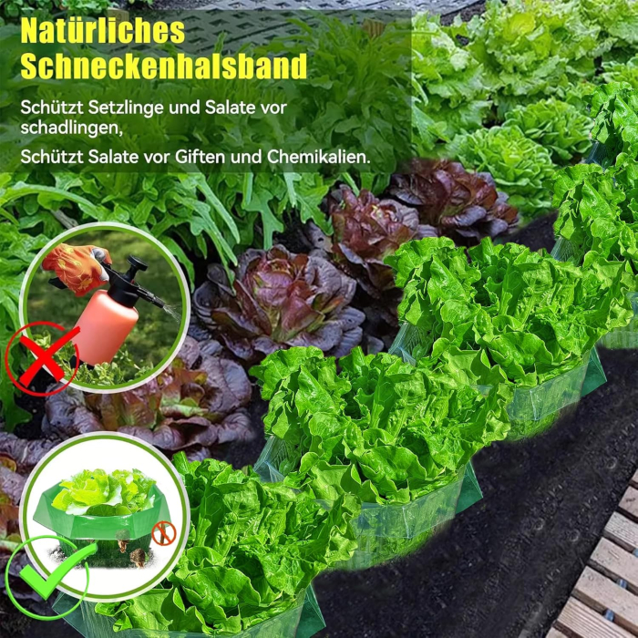 Gulere protectie salata impotriva melcilor, set 10 buc [5]