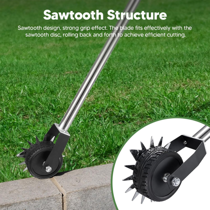 Dispozitiv curatat rosturile de buruieni [3]