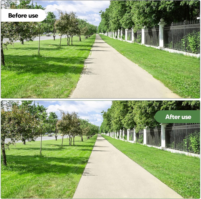 Dispozitiv curatat rosturile de buruieni [8]