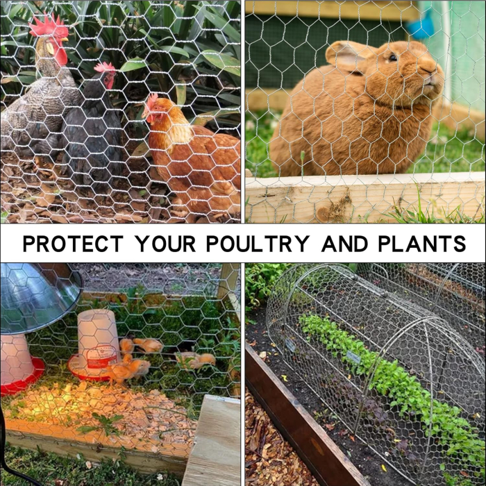 Plasă de sârmă hexagonala galvanizata, plasa pentru voliere, 40cmx5m [2]