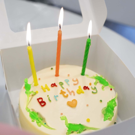 Dinozauri fosforescenti pentru copii, set 12 piese [6]