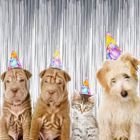 Decor din beteala argintie sclipitoare pentru petreceri 6 buc 1x2 M [5]