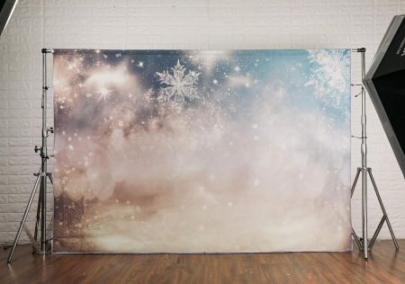 Fundal textil pentru poze, Tinut inghetat din material 2,2x1,5m [4]