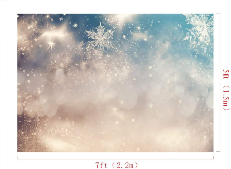 Fundal textil pentru poze, Tinut inghetat din material 2,2x1,5m [3]