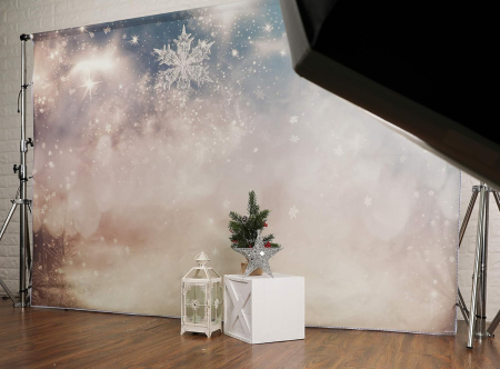 Fundal textil pentru poze, Tinut inghetat din material 2,2x1,5m [6]